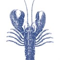 Servietter 33x33cm Lobster marine