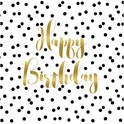 Servietter 25x25 cm Birthday Confetti