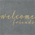Servietter 25x25 cm Friends Cement