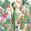 Servietter 25x25 cm Cactus Fantasy