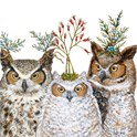 Servietter 25x25 cm Holiday hoot