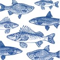 Servietter 33x33 cm Graphic Fishes