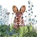 Servietter 33x33 cm Chou Chou Bunny