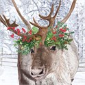 Servietter 25x25 cm Blitzen