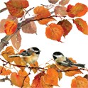 Servietter 33x33 cm Autumn Birds