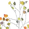 Servietter 33x33 cm Minimal Autumn