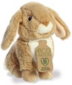 Eco Nation - Kanin  23 cm