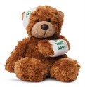 Bamse Get Well 23 cm