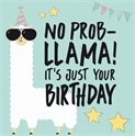 Kort S HB Problama
