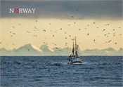 Postkort Norway fiskebåt